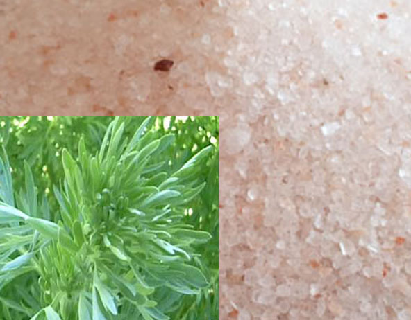 Pink salt and wormwood- simple and effective remedy to cure vertigo (head spinning) for good